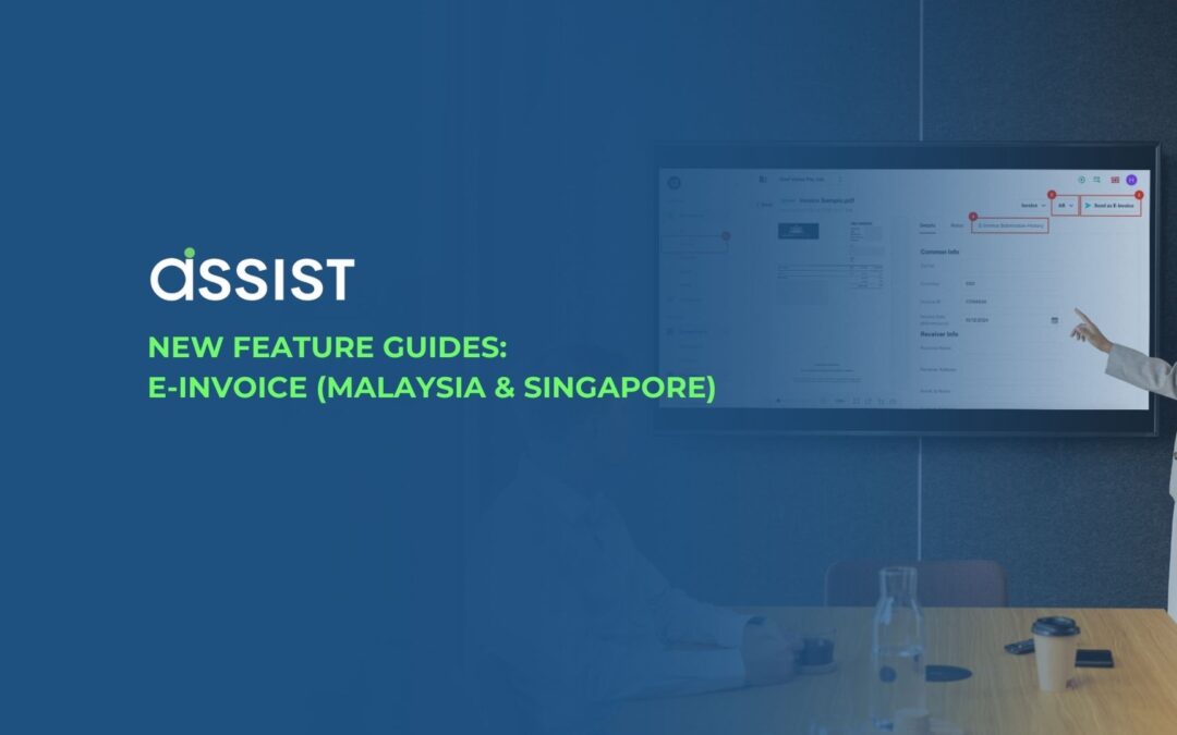 User Guide for E-Invoice Feature